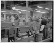 Tobacco processing